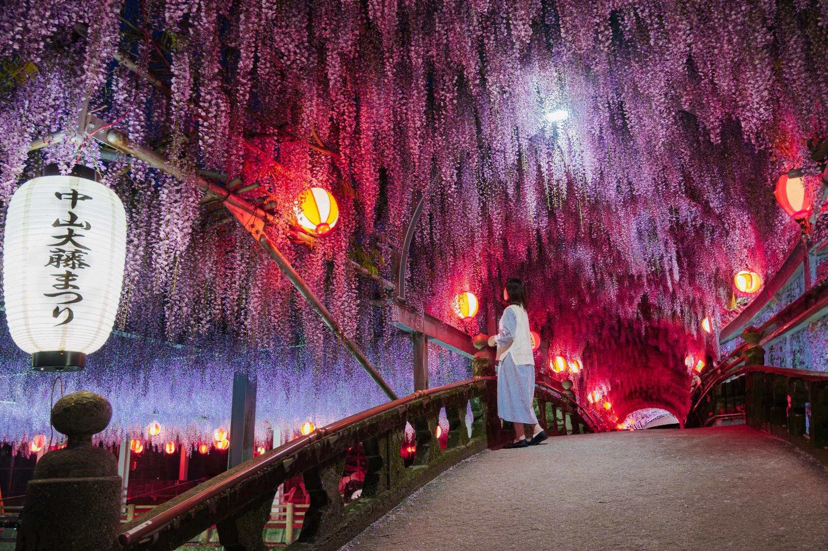 ⛩️ 나카야마 신사 (나카야마 진자) 이미지 9